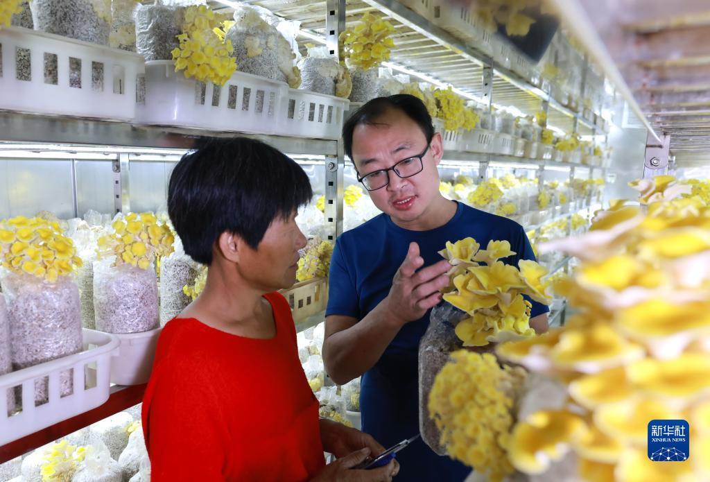 捕鱼游戏电脑版